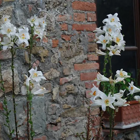 Farm stay Agriturismo Le Biricoccole *