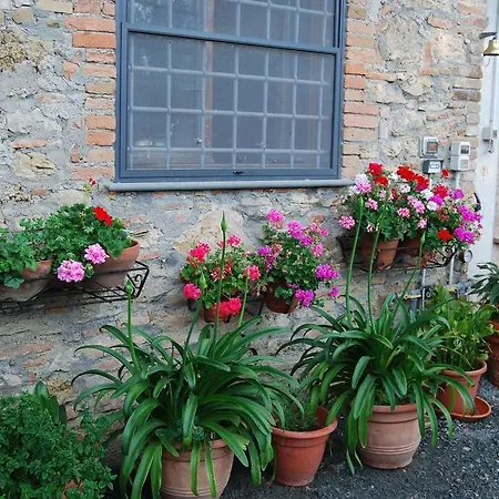 Agriturismo Le Biricoccole Farm stay Vada