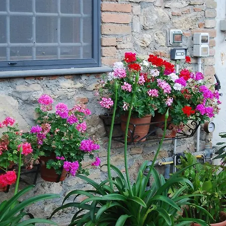 Farm stay Agriturismo Le Biricoccole *