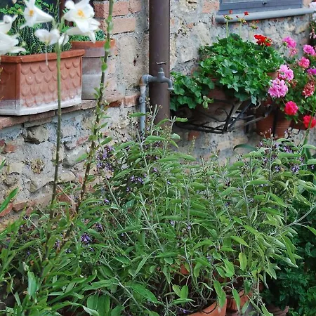 Agriturismo Le Biricoccole *