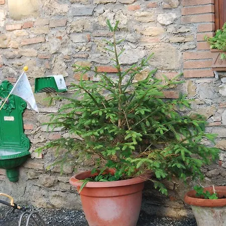 Agriturismo Le Biricoccole Farm stay