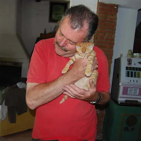 Le Biricoccole