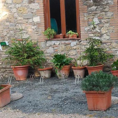 Agriturismo Le Biricoccole Farm stay Vada