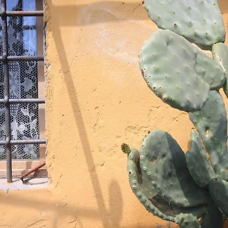 Alloggio per agriturismo Le Biricoccole *