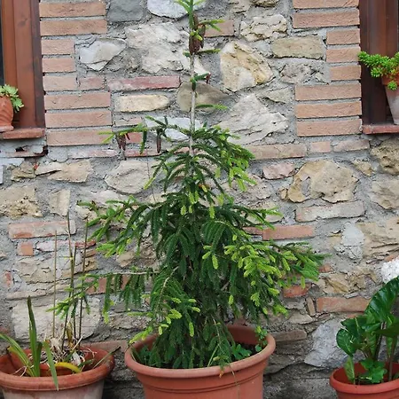 Agriturismo Le Biricoccole Farm stay