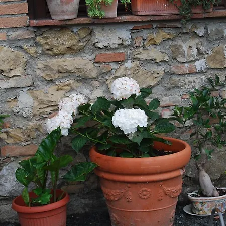 Farm stay Agriturismo Le Biricoccole *